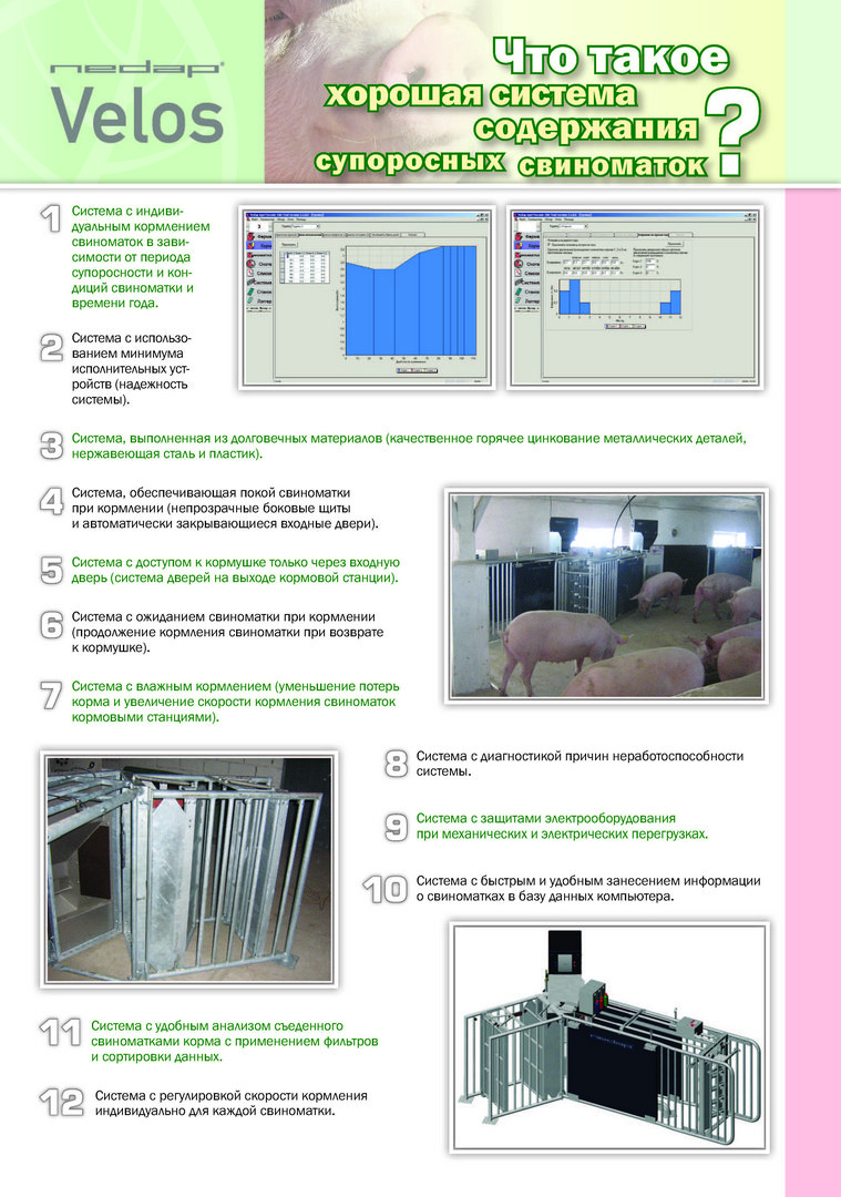 Системы содержания свиноматок Velos, Porcode - информация из каталога